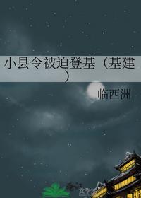 小县令被迫登基（基建）